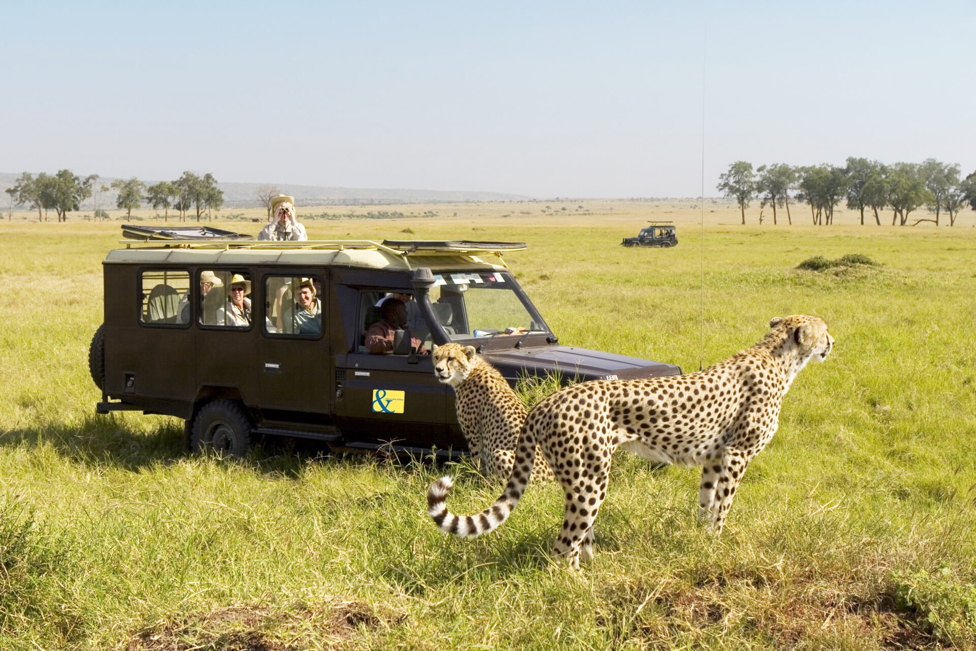 A&K, Tanzania A&K, Tanzania