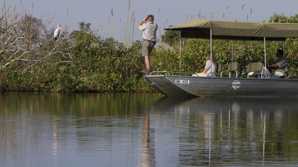 BoatHeronry_Xak_10425