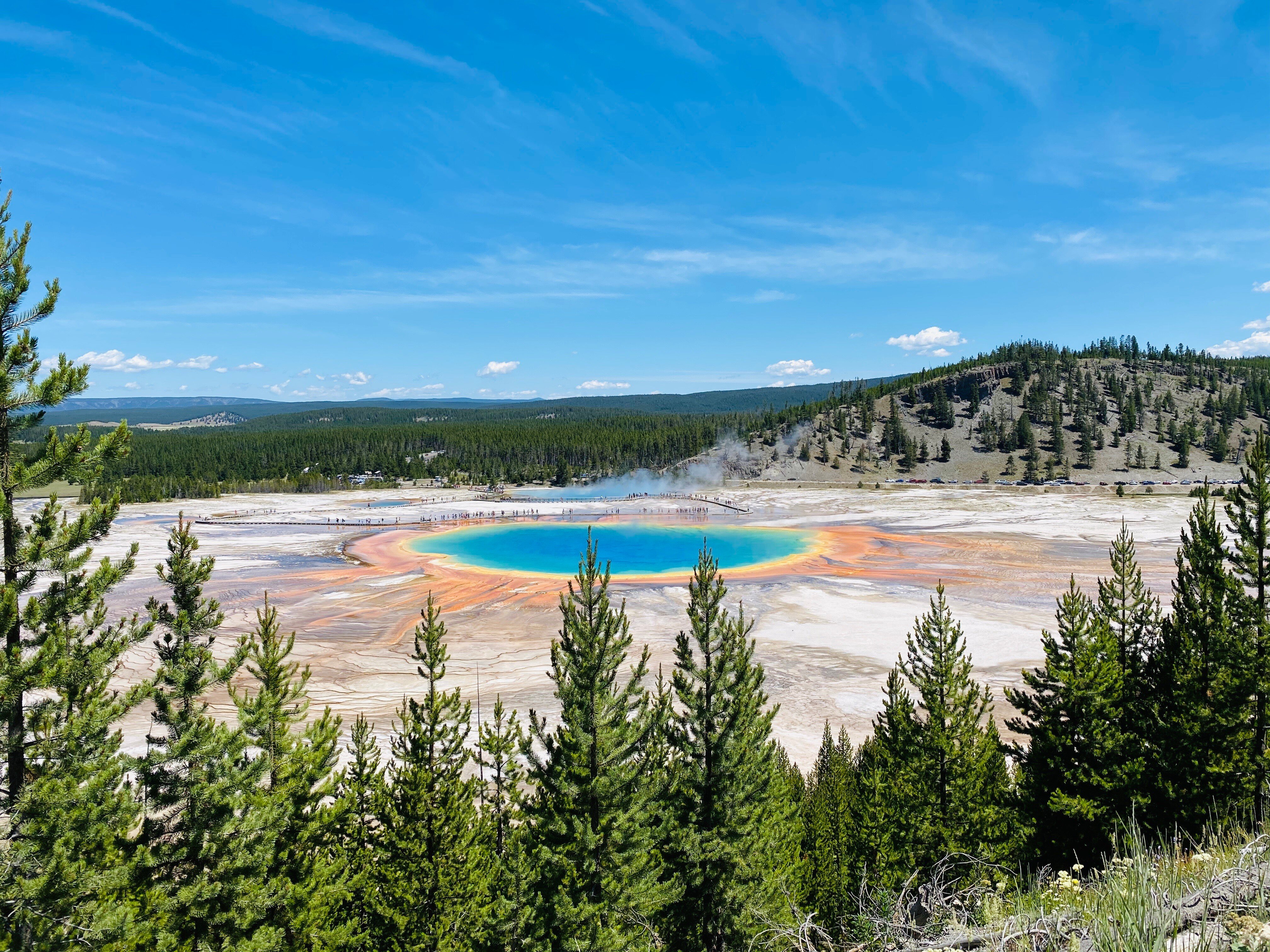 Morning Glory, Yellowstone