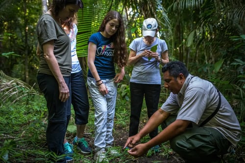 belize_medicinal_plants_chaa_creek_hero