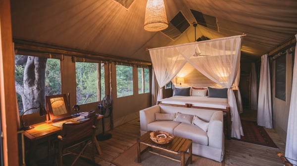 camp-xakanaxa-guest-tent1