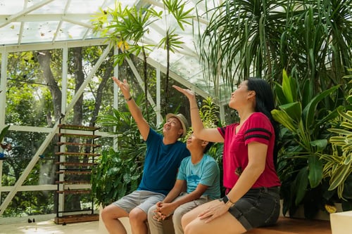 chaa-creek-activities-butterfly-farm