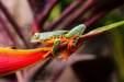 david-trana-pE3Fgu2dhxY-unsplash