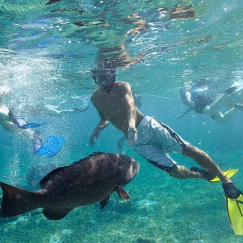 dive014-1024x1024