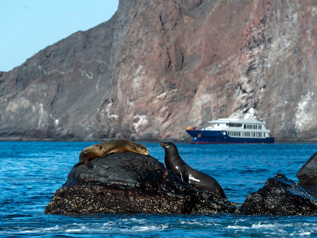 Ecoventura, Galapagos Ecoventura, Galapagos