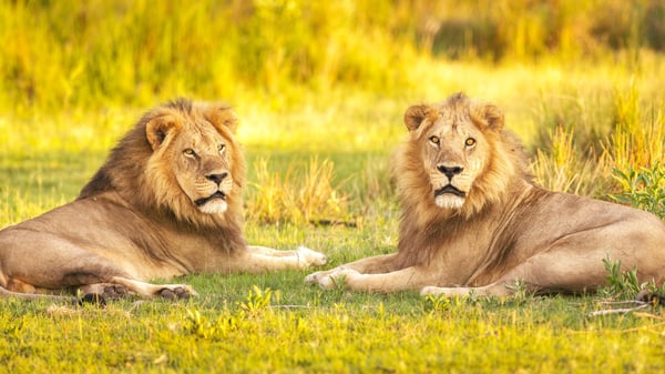 shutterstock_1606640842