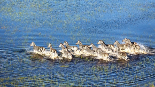 shutterstock_2199575997