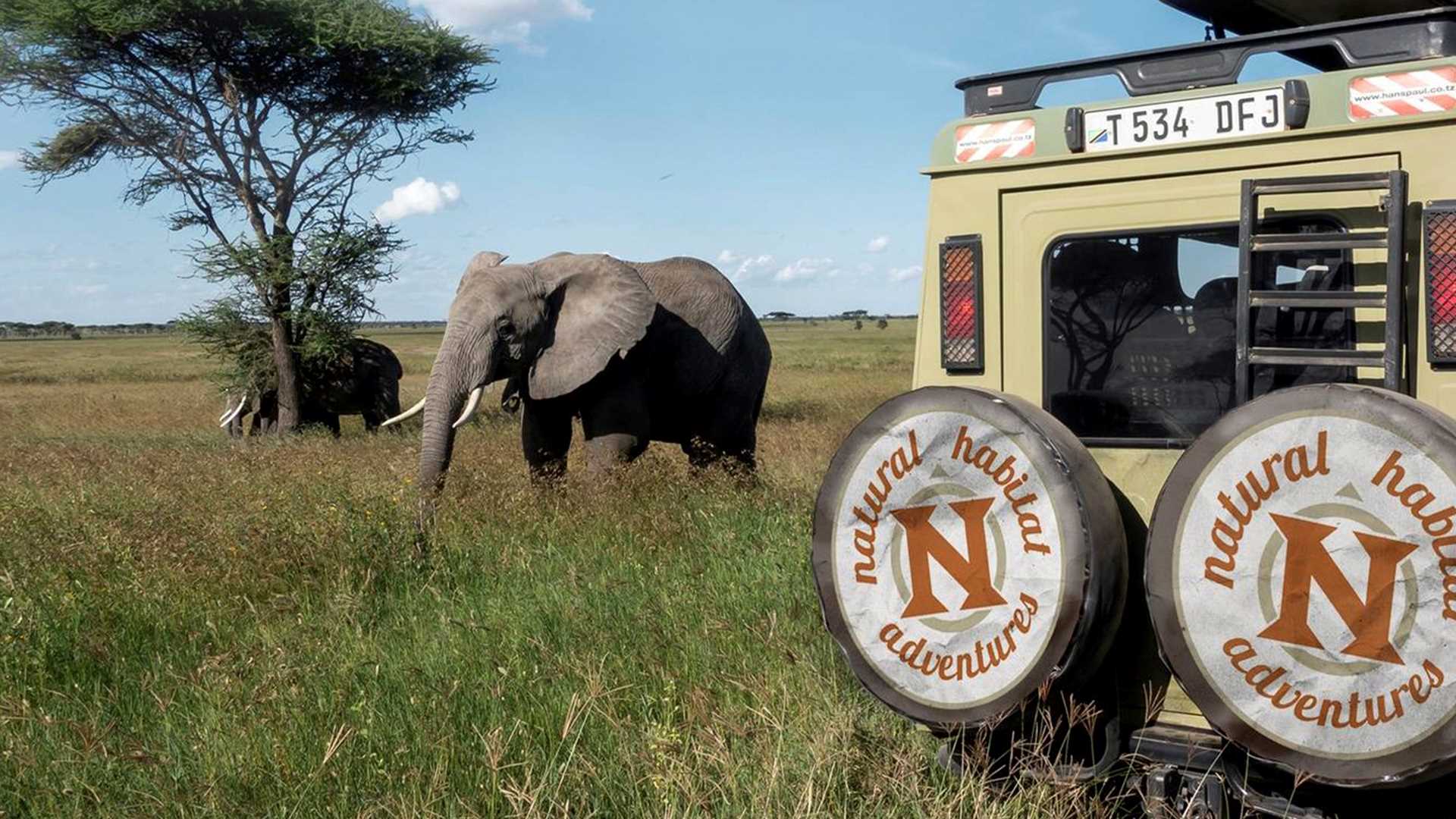 Nat Hab, Kenya Nat Hab, Kenya